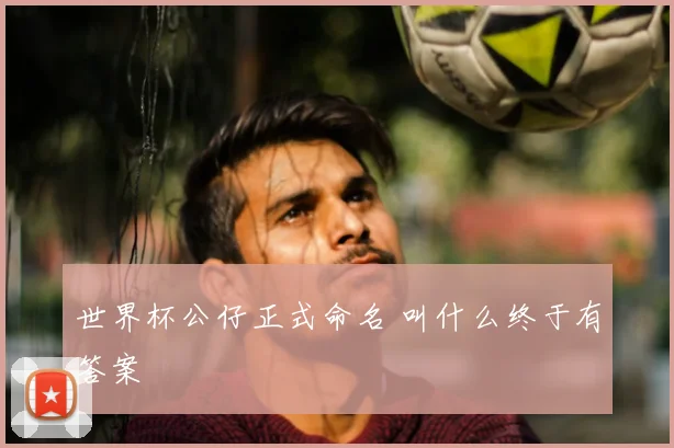 世界杯公仔正式命名 叫什么终于有答案